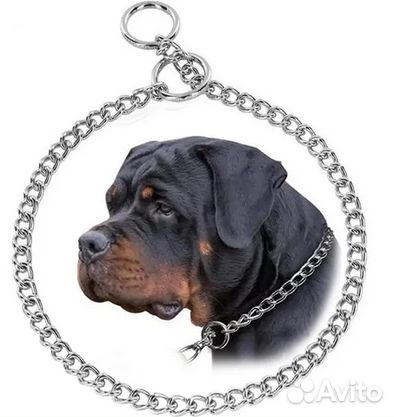 Продам ошейник