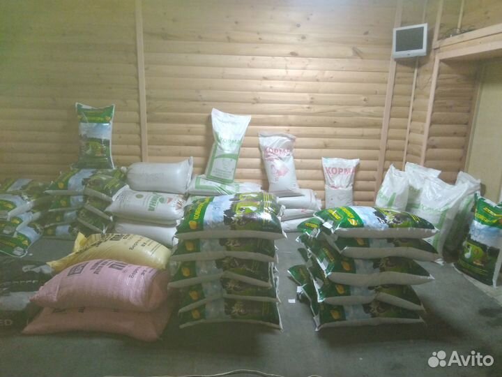 Комбикорм,зерно,корма для животных