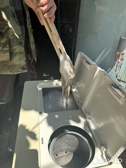 Стиральная машина Сибирь