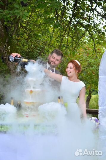 Организатор, координатор, менеджер артистов