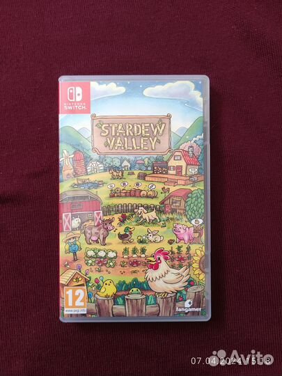 Stardew valley (Nintendo switch)