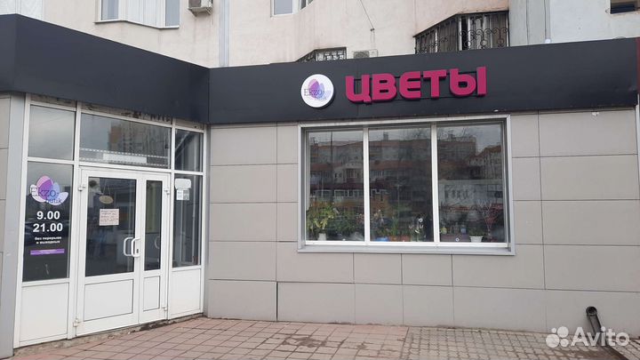 Стрелиция королевская