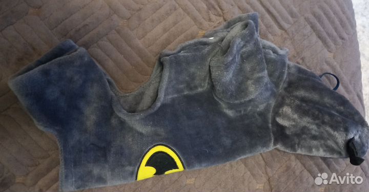 Одежда для животных