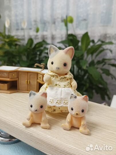 Семья котиков Sylvanian families, коты
