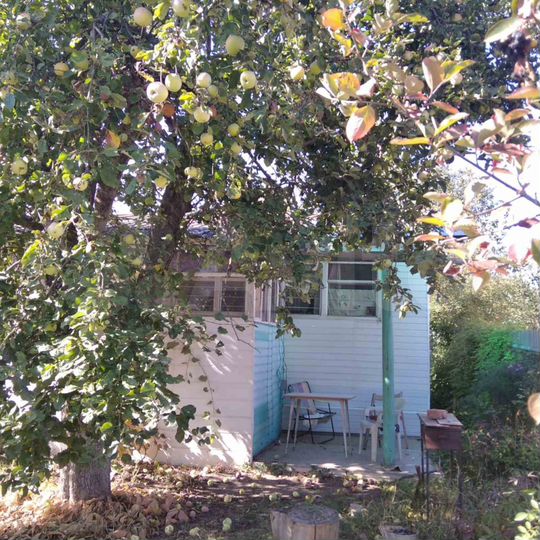 Участок 4,1 сот. (СНТ, ДНП)