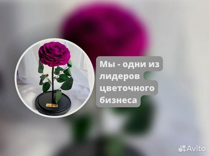 Роза в колбе. Любые размеры