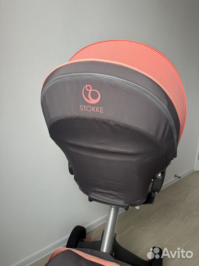 Коляска stokke xplory v5 limited edition