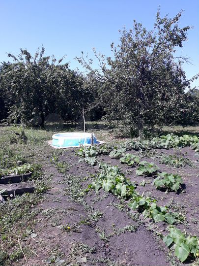 Участок 30 сот. (ИЖС)