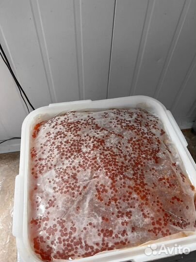 Икра Кеты опт