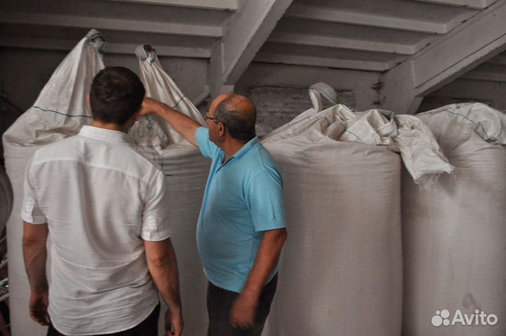 Семена трав