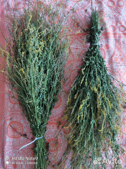 Травы для бани