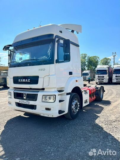 КамАЗ 5490 NEO, 2017