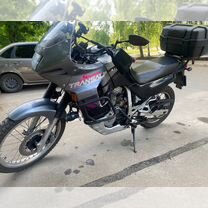 Honda transalp 600