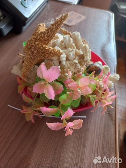 Набор для аквариума