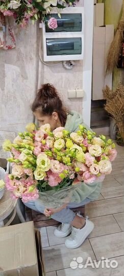 Лизиантус (эустома) оптом и в розницу