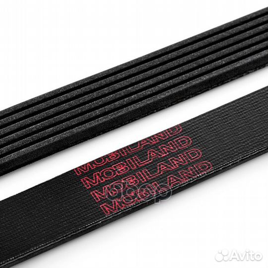 Ремень 6PK1305 (epdm) для а/м ford focus 501261