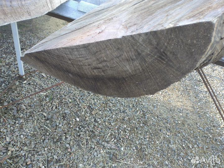 Черный орех