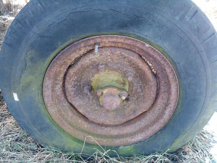 Лошадиная повозка