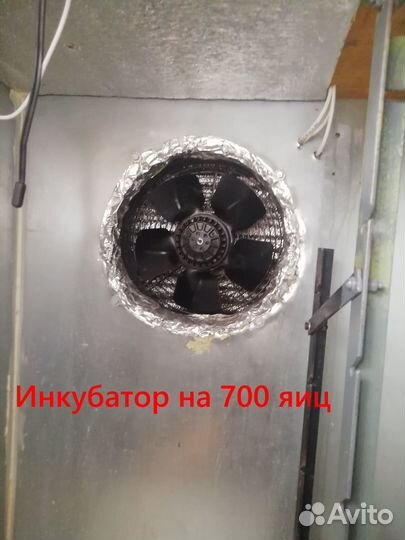 Инкубатор 700 яиц, выводной шкаф и брудеры