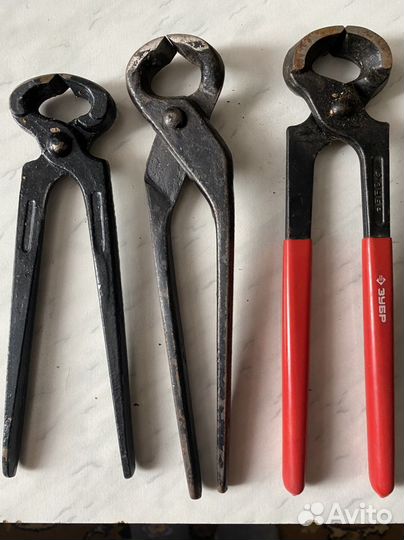 Клещи плотненские