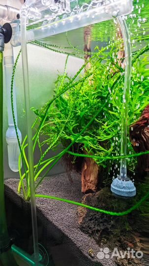 Грунт Пропант 