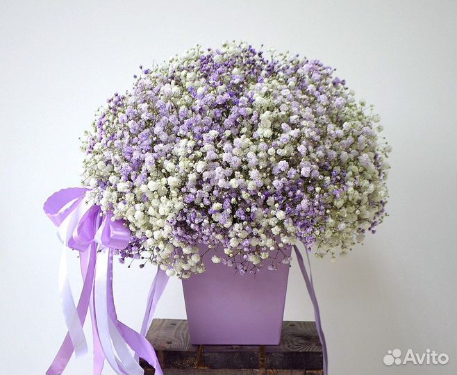 Радужная и белая гипсофила букеты