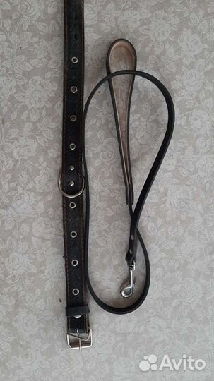 Поводок и ошейник для собаки