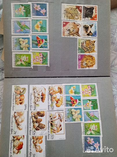 Почтовые марки СССР