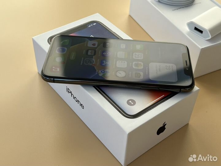 iPhone X, 256 ГБ