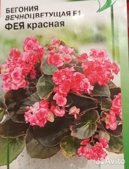 Комнатные,многолетники, летники цветы