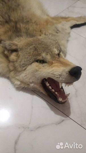 Волк сибирский (ковер )
