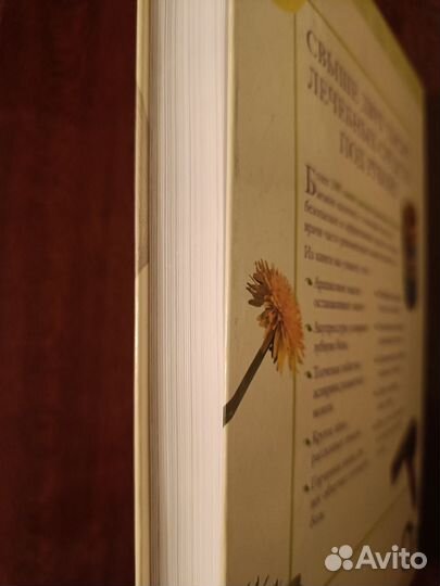 2005 практических советов