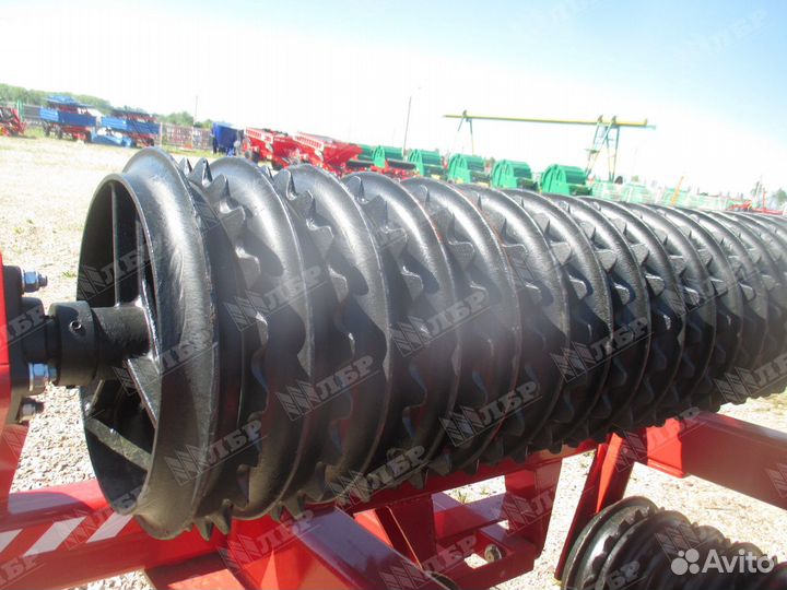 Каток Expom Jacek, 2024