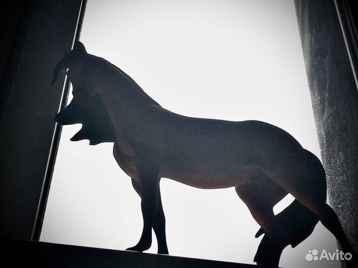 Спирит душа прерий