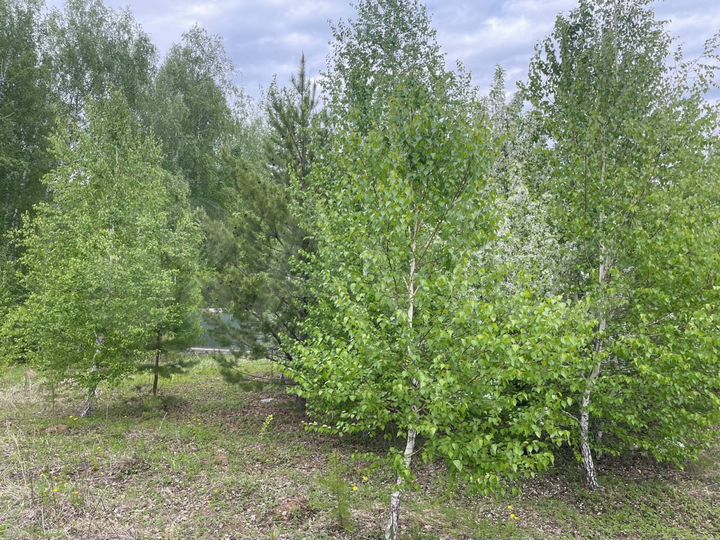 Участок 10 сот. (ИЖС)