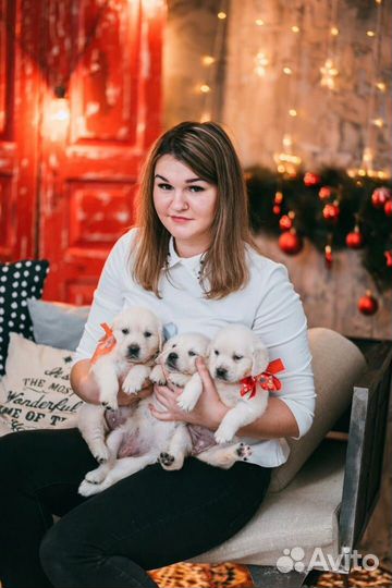 Щенки с документами