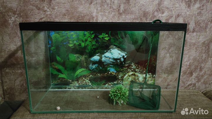 Аквариум