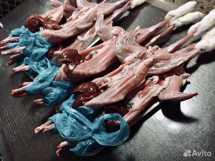 Мясо кролика