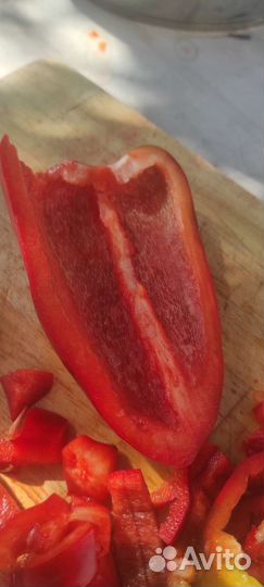 Семена перца