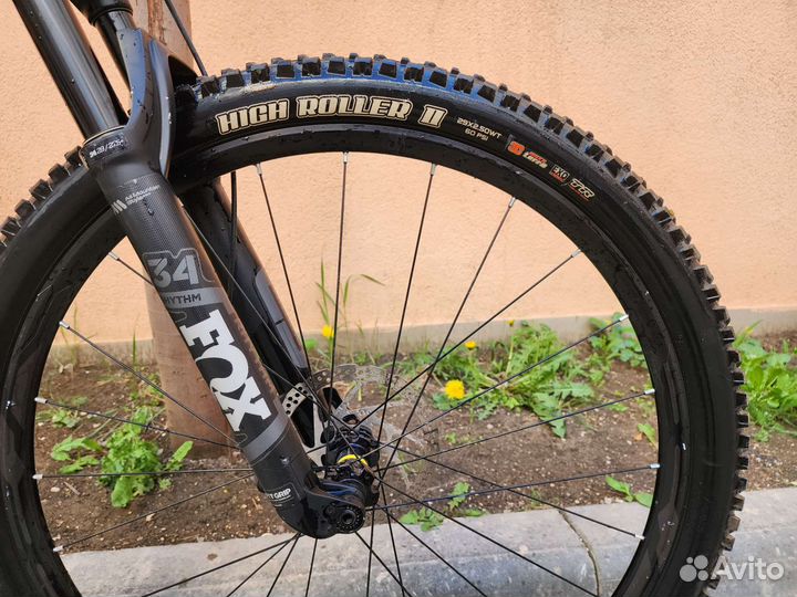 Canyon neuron AL 7.0 2019