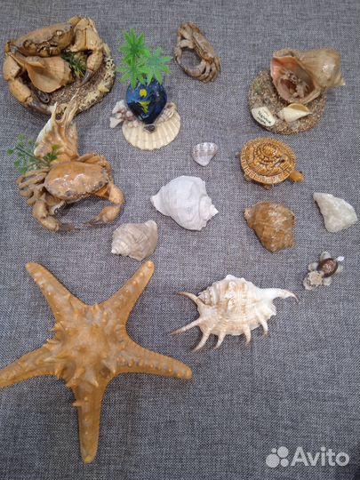 Морские сувениры