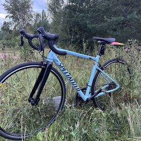 Specialized Allez Sport in Arctic Blue