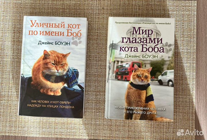 Книги Уличный кот по имени Боб