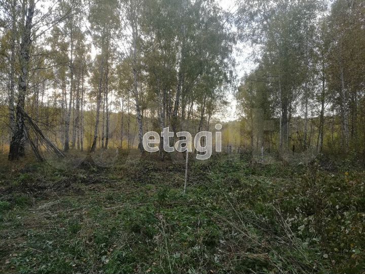 Участок 9,7 сот. (СНТ, ДНП)