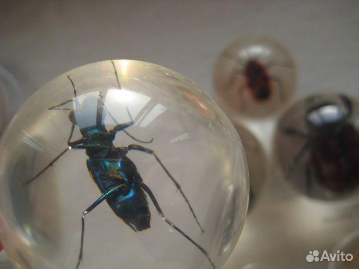 Чудеса природы насекомые минералы журнал Eaglemoss