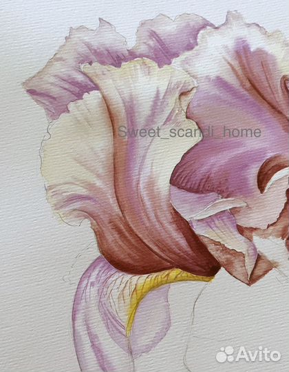 Картина акварель цветы постер