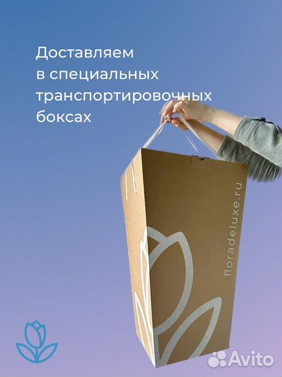 Пионы Корал premium