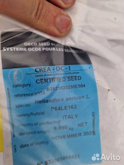 Семена подсолнечника pioneer