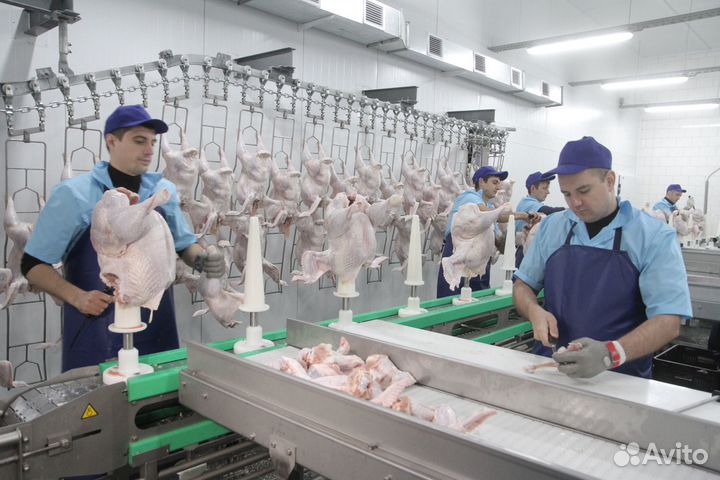 Разнорабочий г.Нижний Ломов вахта 15 смен +питание