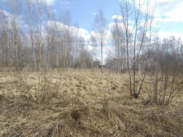 Участок 30 сот. (ИЖС)